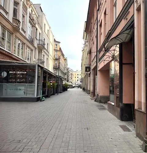 Dyrekcyjna 10 Center 公寓 卡托维兹